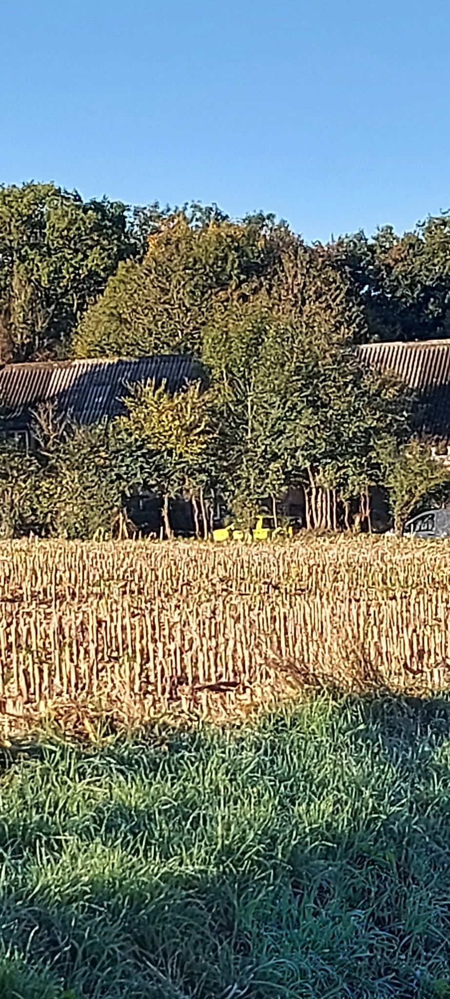 bijna"thuis".