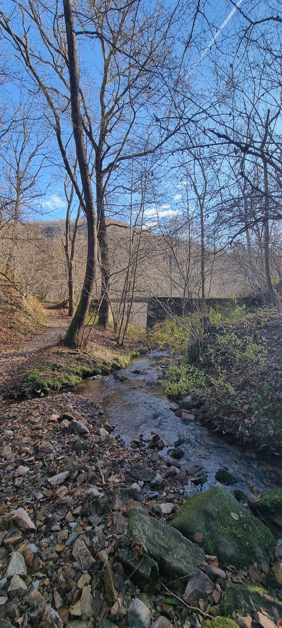 Ponte di Marm9