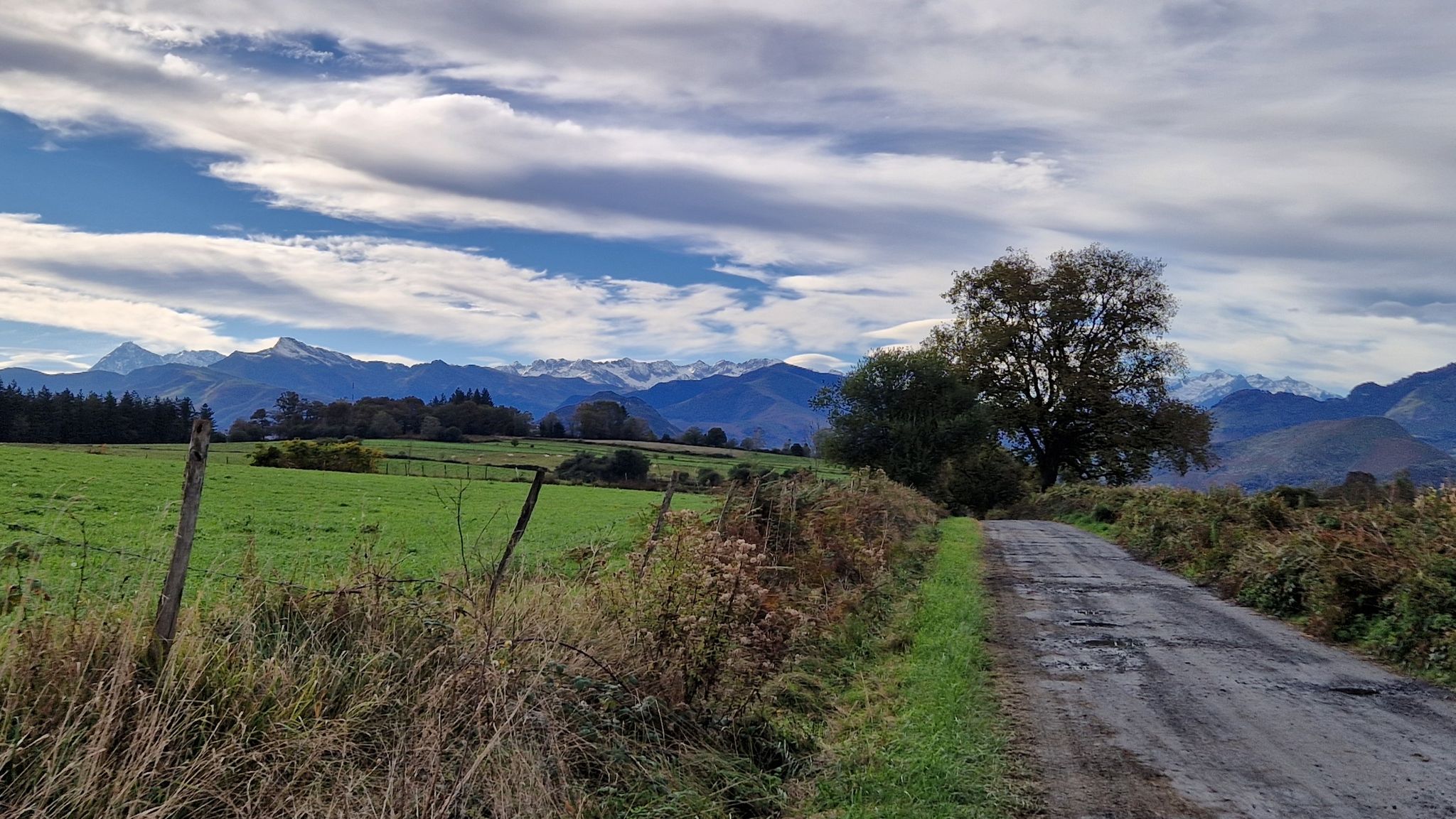 les Pyrennes depuis la lande de bartes