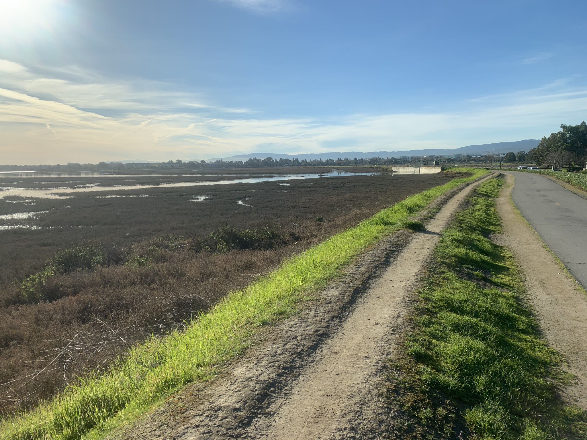 A dirt path and paved road next to a vast marshland under sunny skies. - Foster City Levee Trail: Belmont Slough