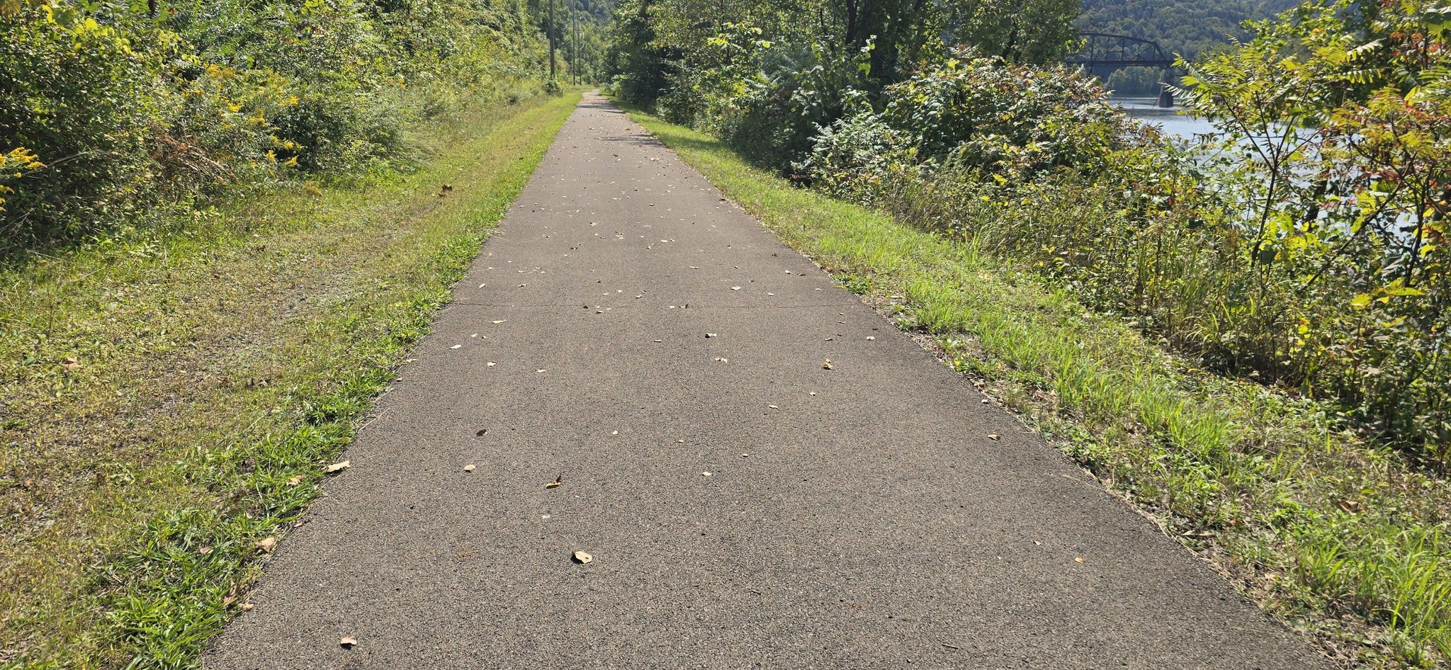 Paved path next to a river, surrounded by green and brown foliage. - Tunnel loop from Victory Heights