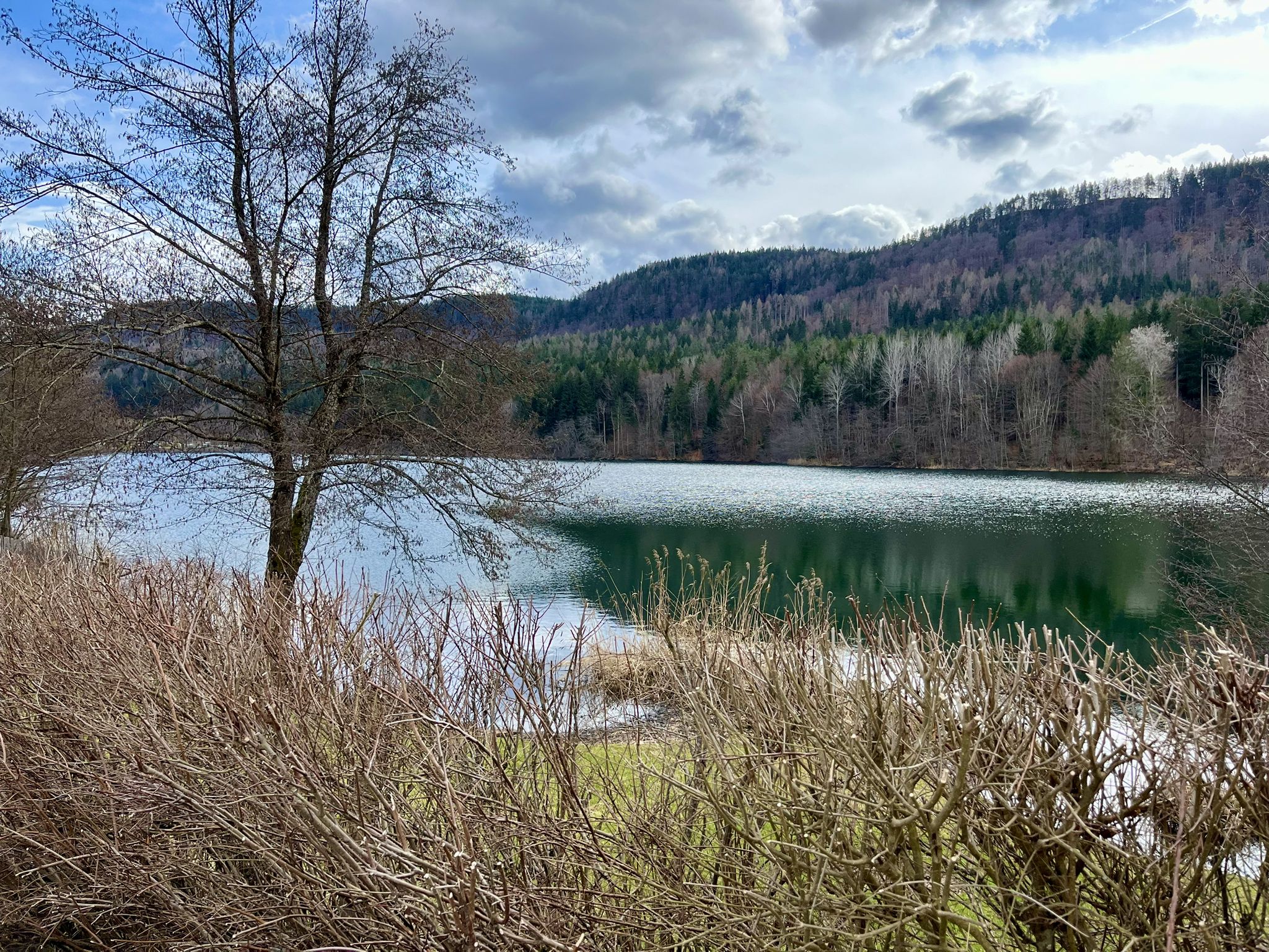 Rauschelesee