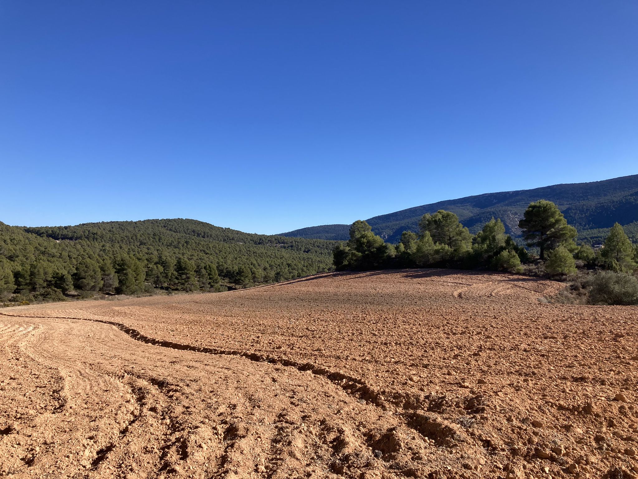 Vistas al PNM Font Roja