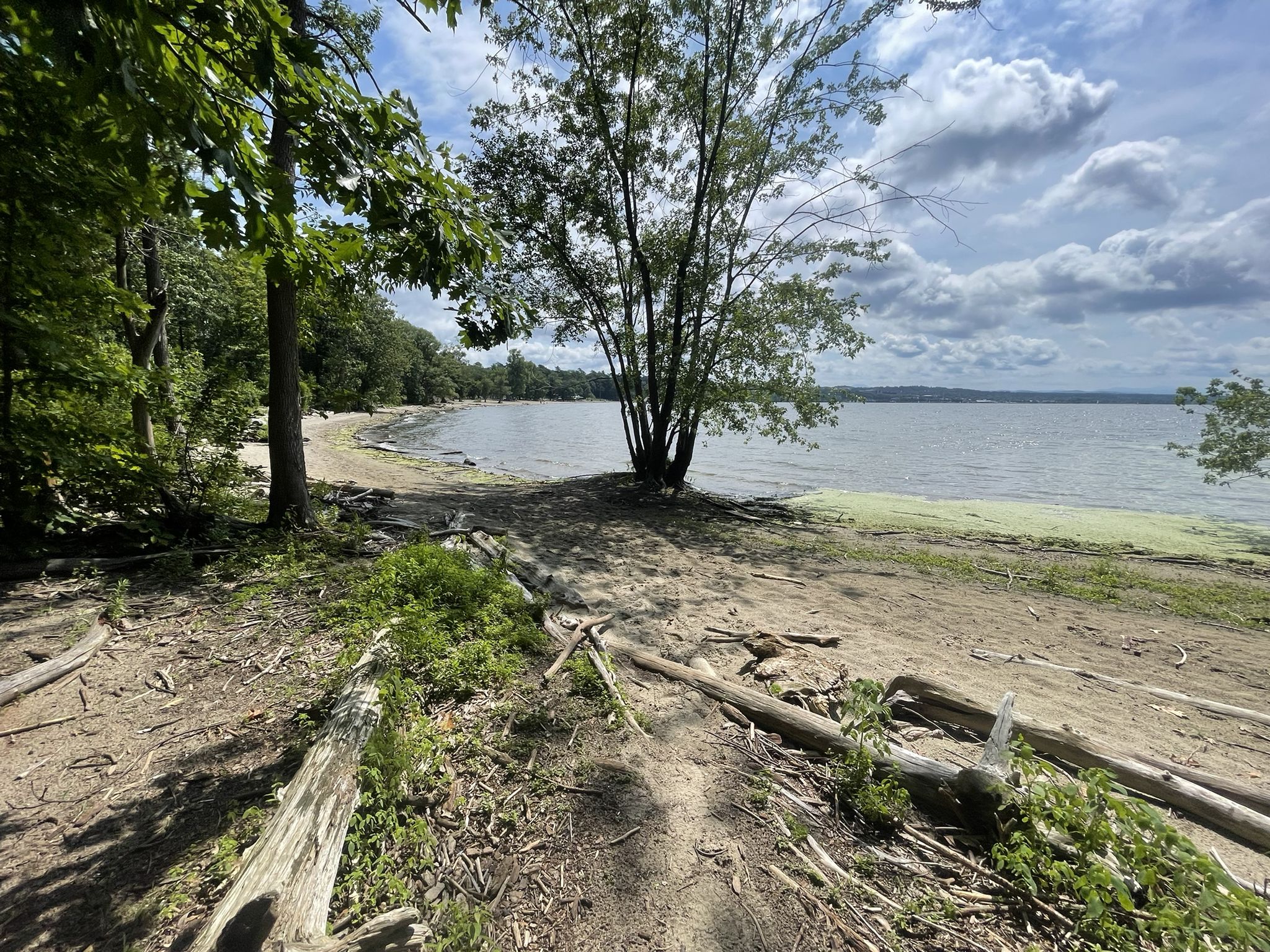 Sandy beach with trees bordering a calm lake under a cloudy sky. - Rock Point Trail Loop