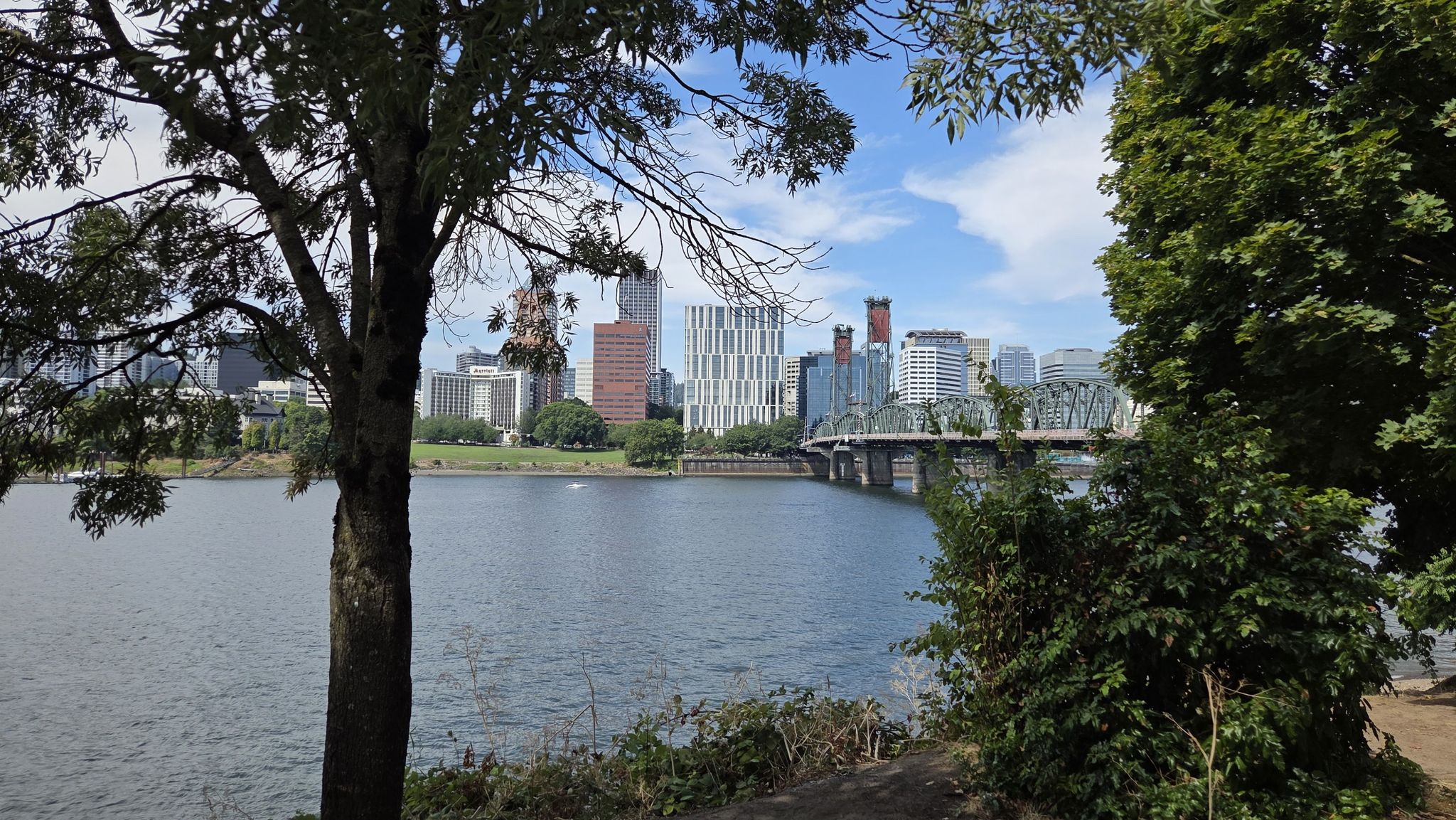 City skyline and bridge across a river, framed by green trees. - View of Saint Johns Bridge – Hawthorne Bridge loop from Goose Hollow/Southwest Jefferson Street