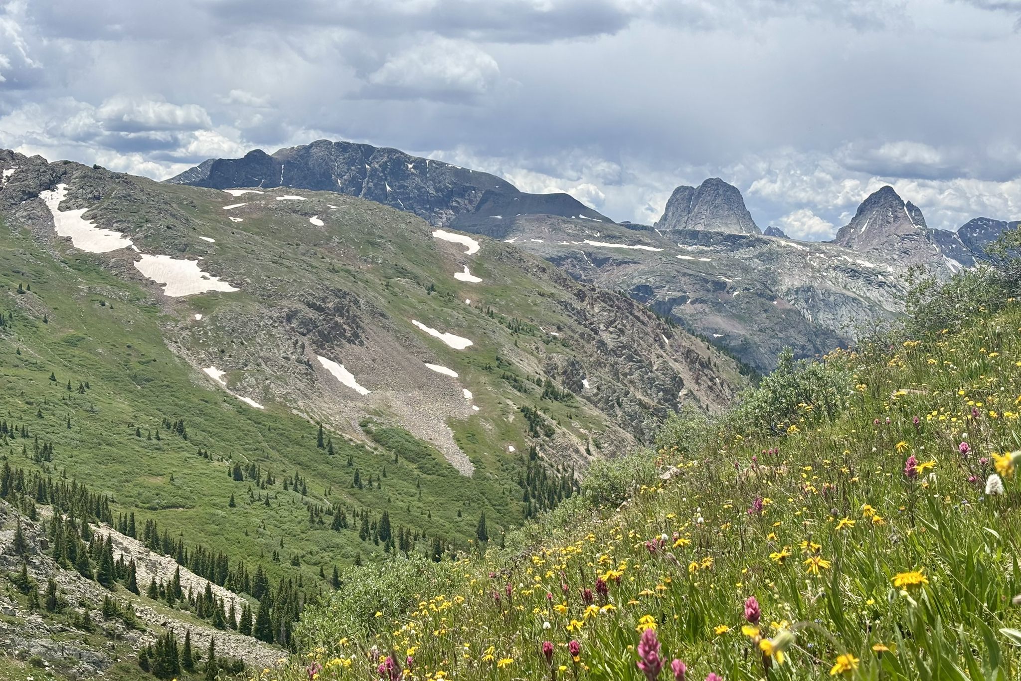 Vibrant wildflowers in a vast green mountain valley with rugged peaks under a cloudy sky. - Whitehead Peak Loop