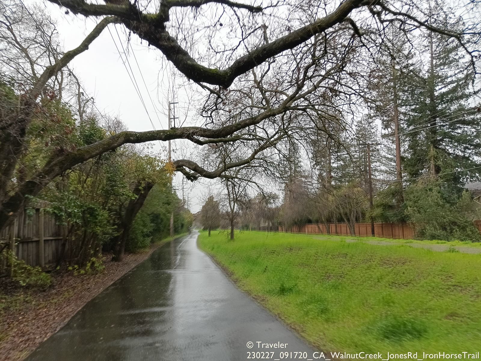 A wet paved path under large, bare tree branches on an overcast day. - Iron Horse Trail junction – Iron Horse Trail loop from Bollinger Canyon Road & Dos Rios Drive