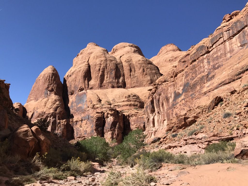 Towering red rock formations and cliffs under a clear blue sky, with green shrubs. - Pritchett Canyon and Hunter Rim Loop
