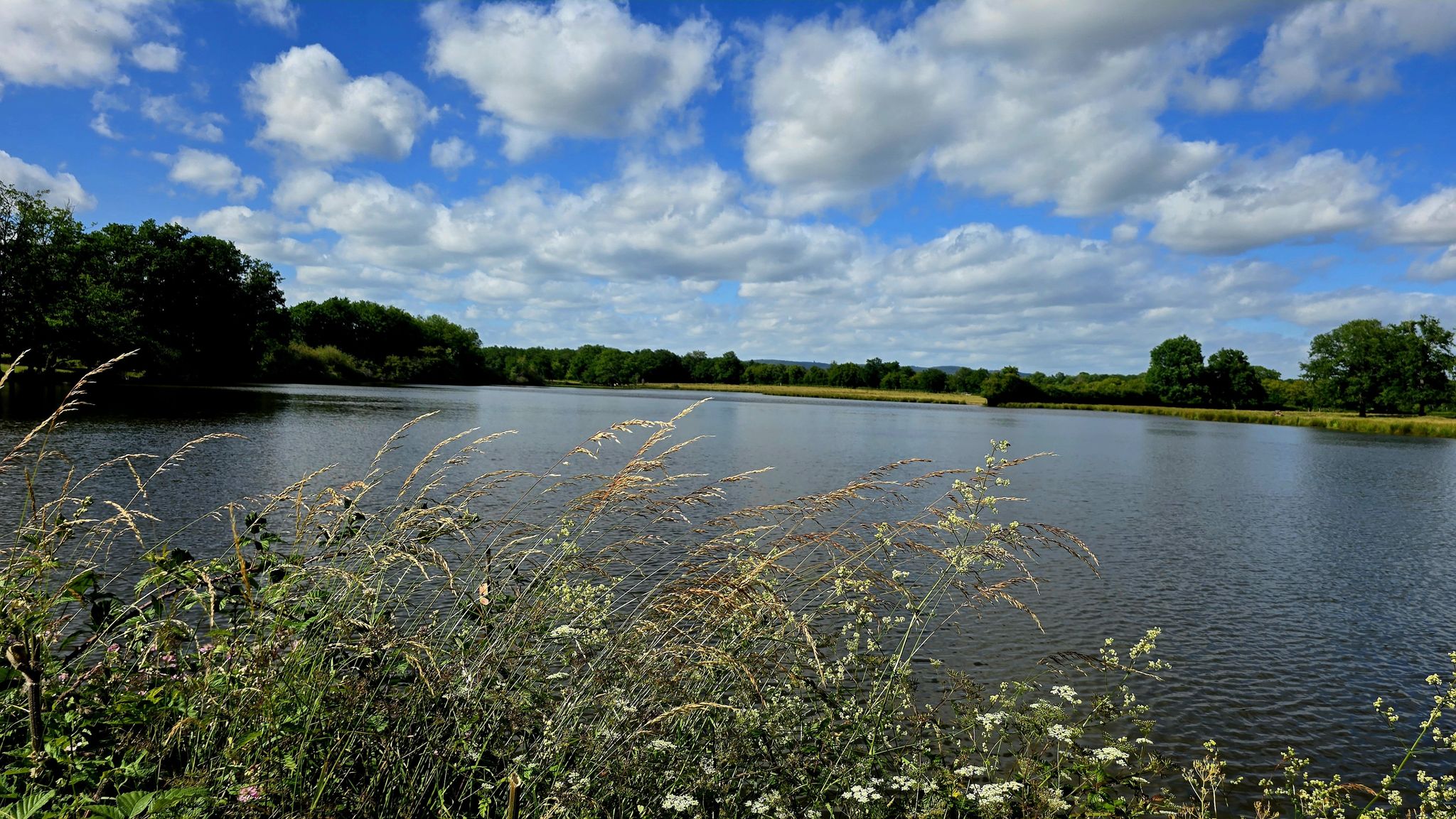 Etang de Varolles