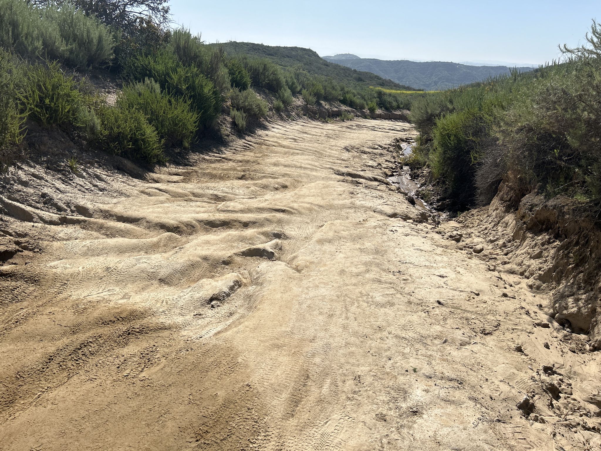 Wide, rutted dirt road through a brushy, hilly landscape. - Camarillo Trail – Bommer Spur Trail loop from Bommer Canyon Open Space Preserve