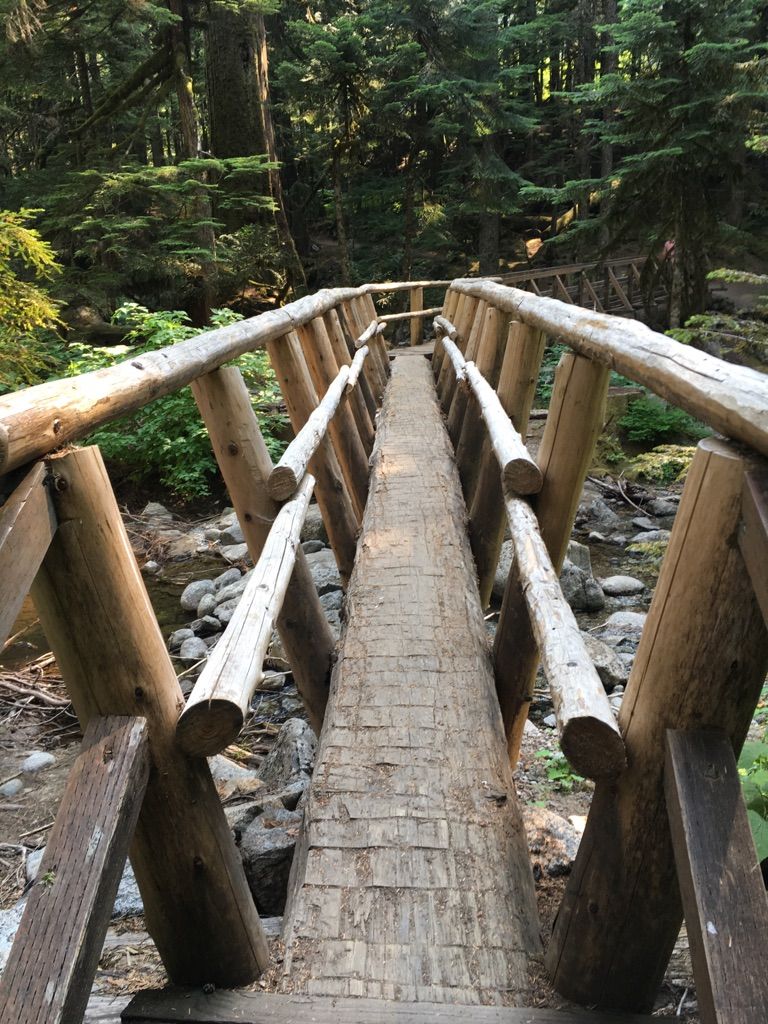 Rustic wooden log bridge crosses a rocky stream in a sun-dappled forest. - Deception Falls Trail