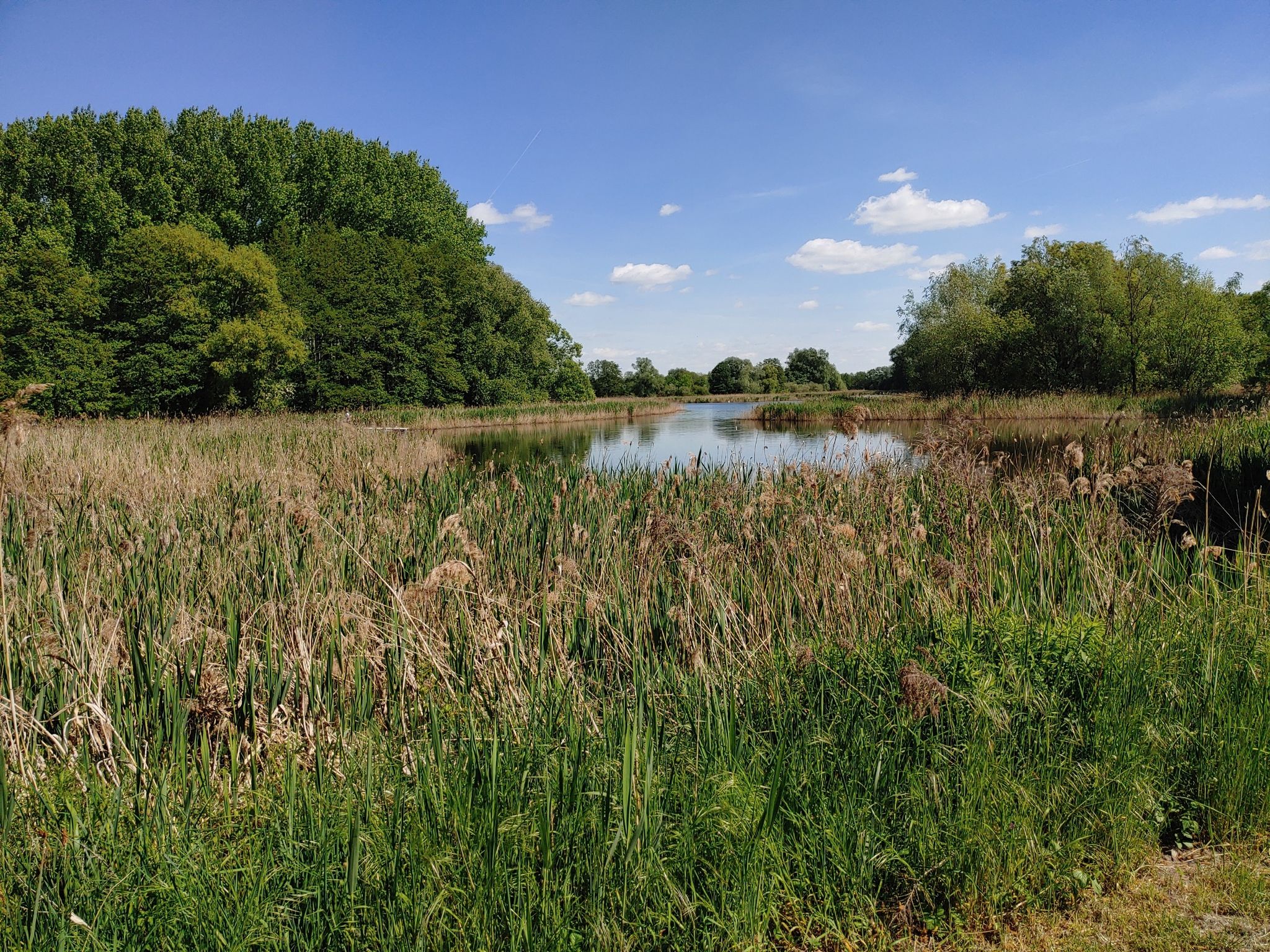 Mühlensee