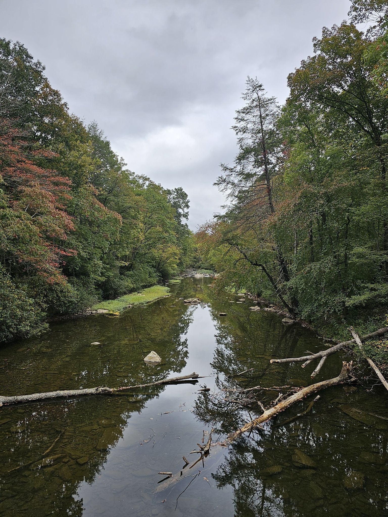 A calm river flowing through a dense forest under a cloudy sky. - Appalachian Trail: Kimberling Creek to Jenny Knob