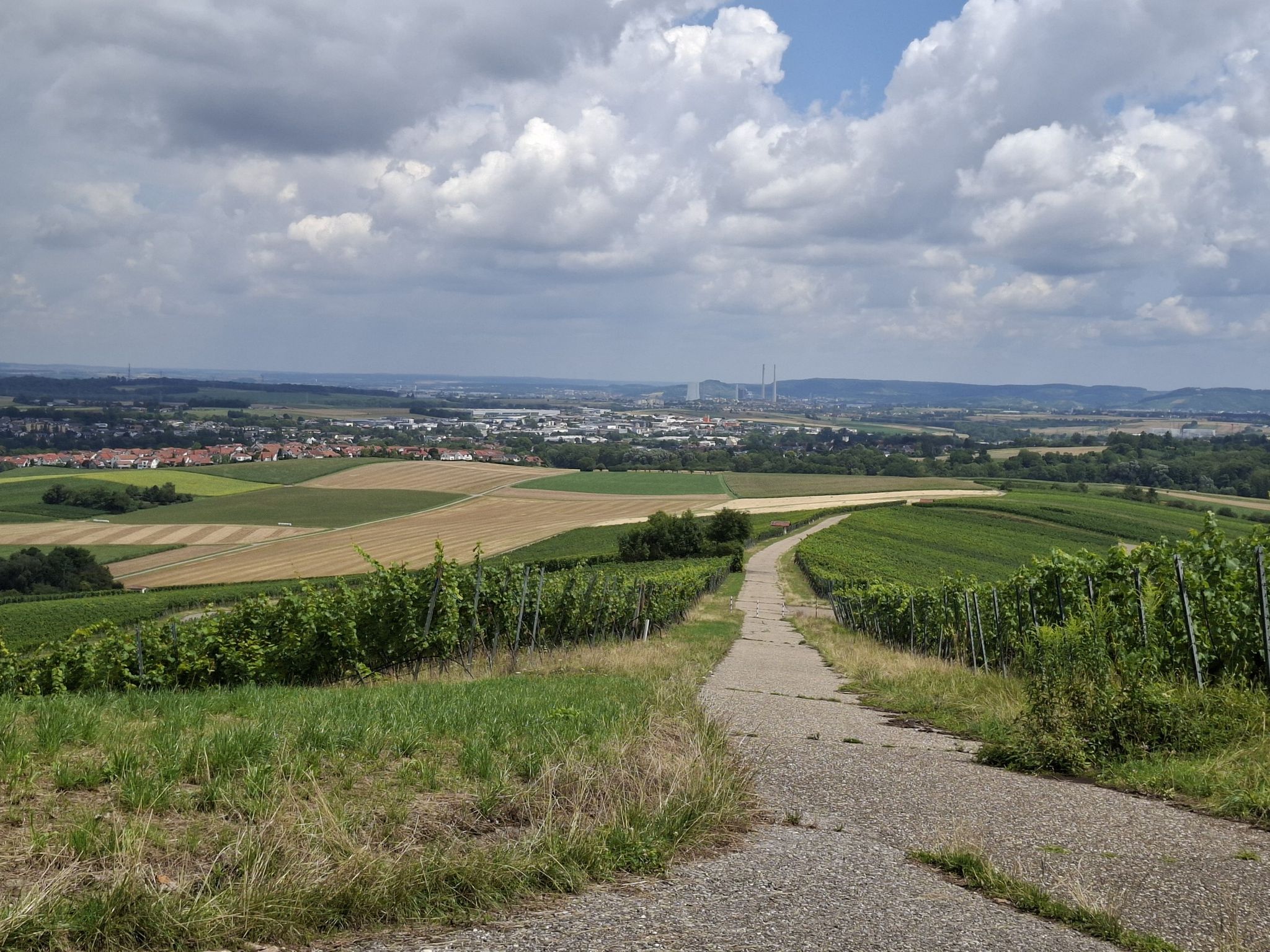 ... den Heuchelberg hinauf - schöne Aussicht ins Heilbronner Land