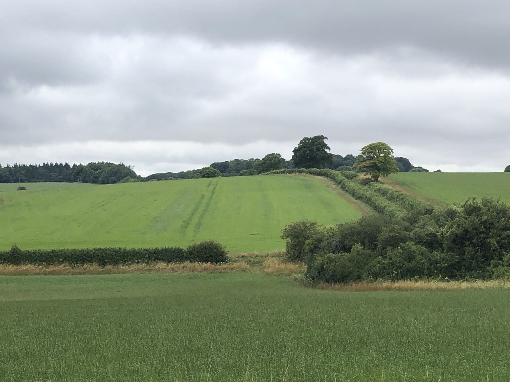 Site of Battle of Cheriton 1644