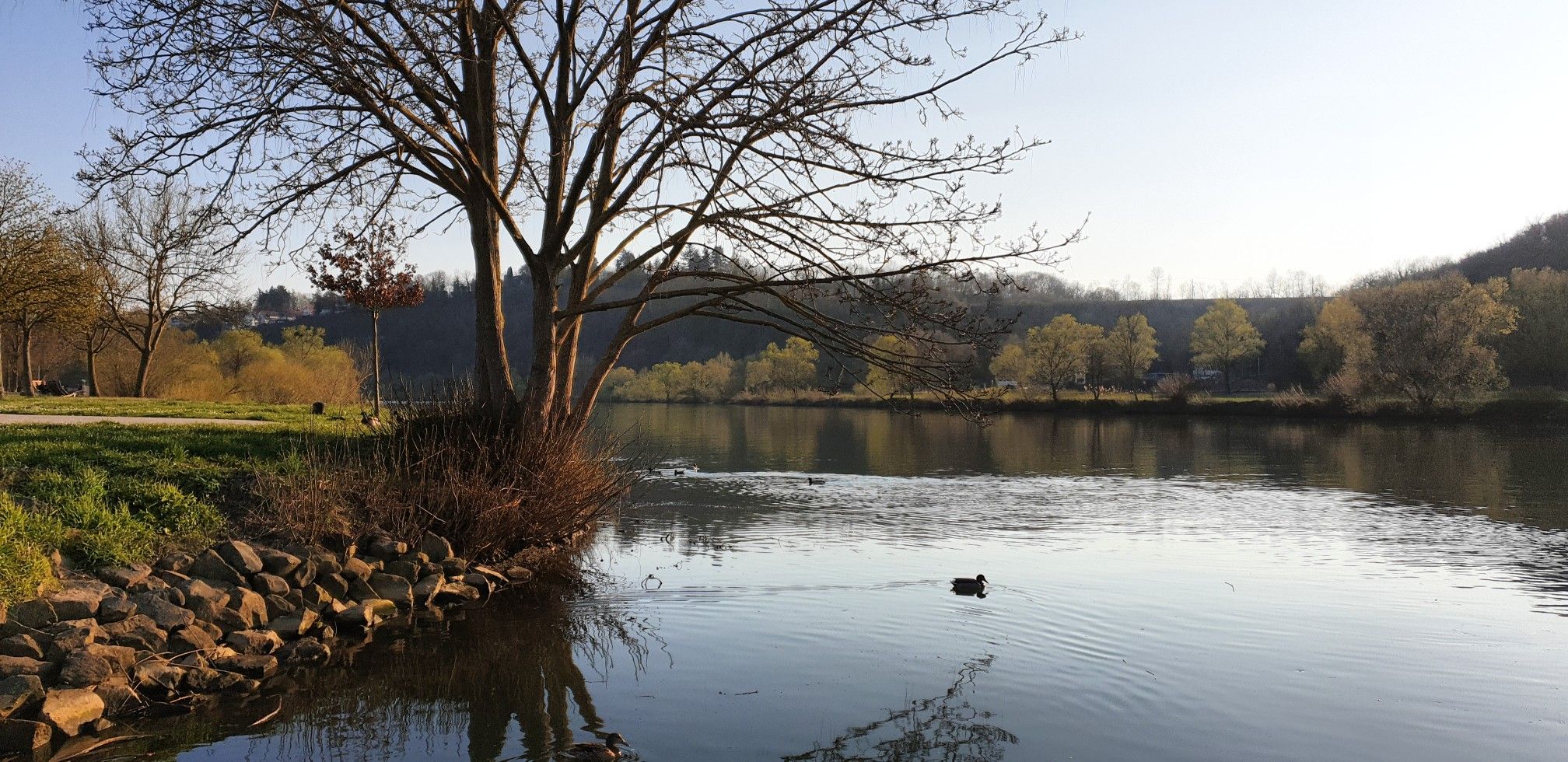 Radweg Offenau