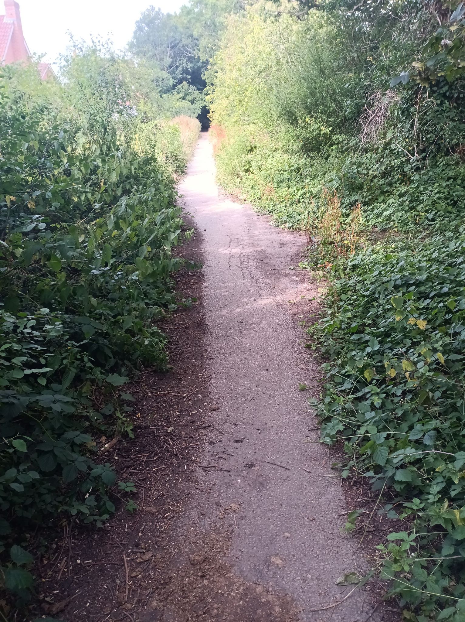 peelings lane