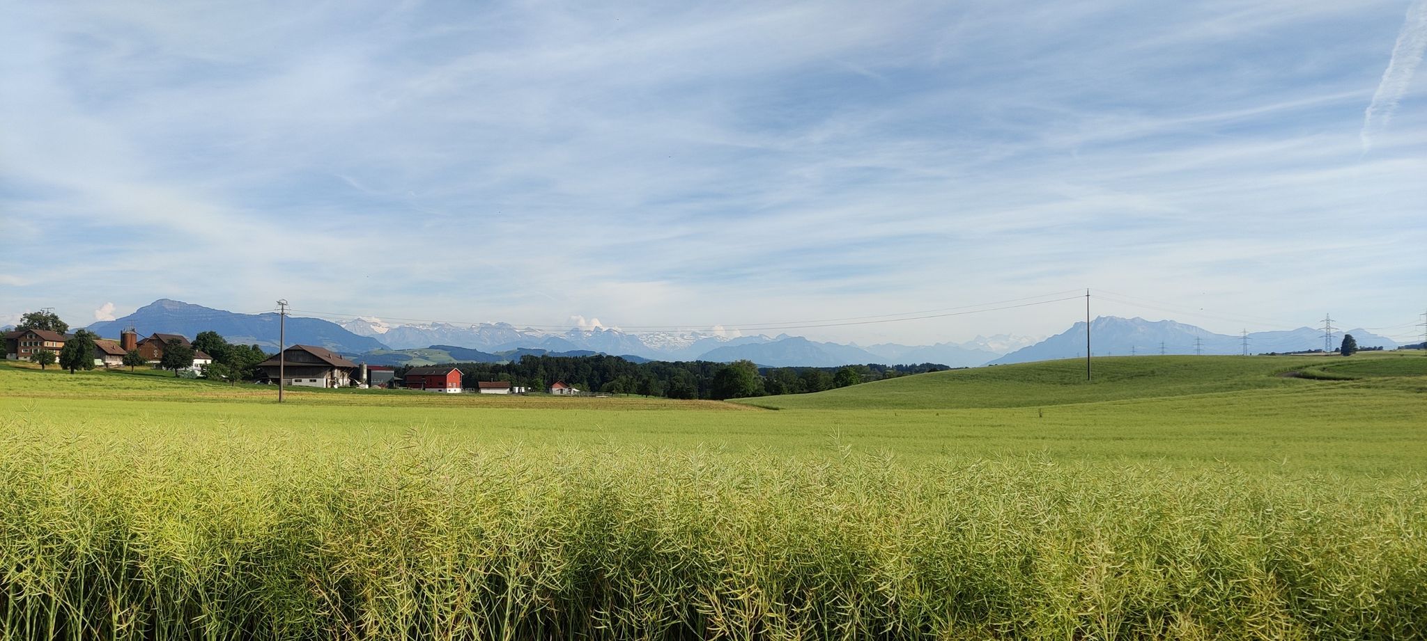 Nun sind die Alpen schon weit weg und ich bald daheim