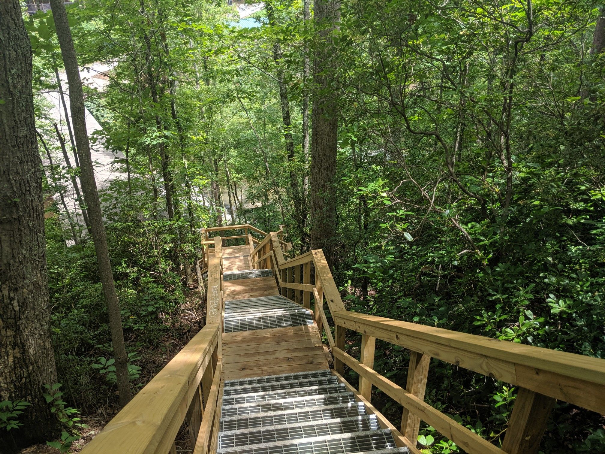 A long wooden staircase descends steeply into a dense, green forest. - Vickery Creek Trail Loop