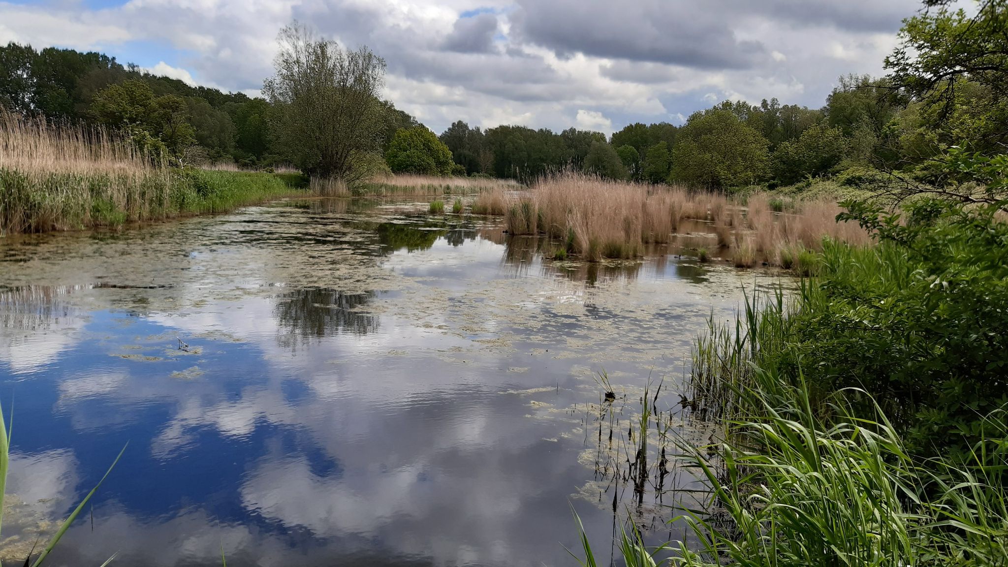 natuurpark de Esch