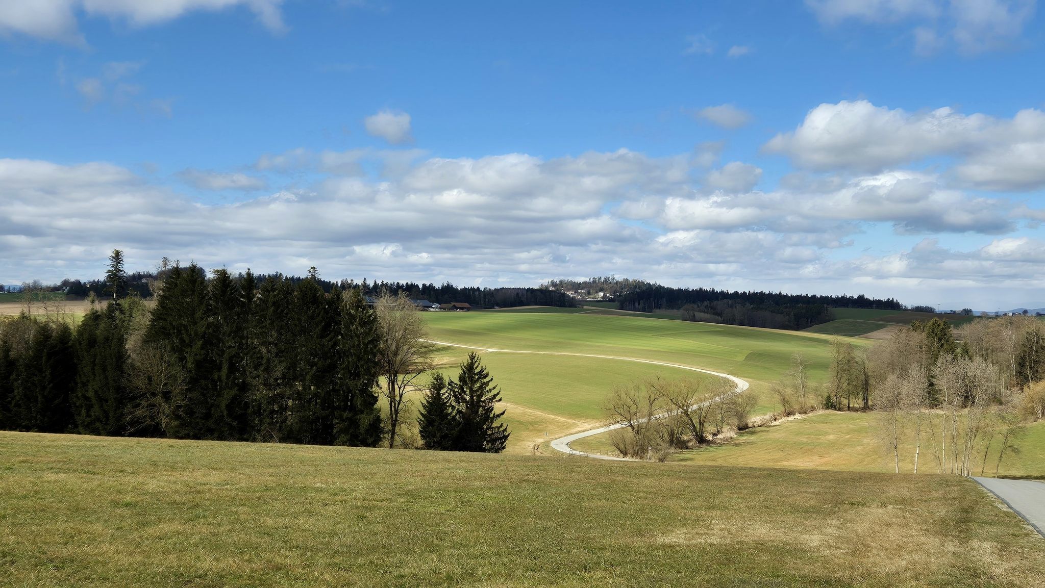 Blick zum Büchlberg
