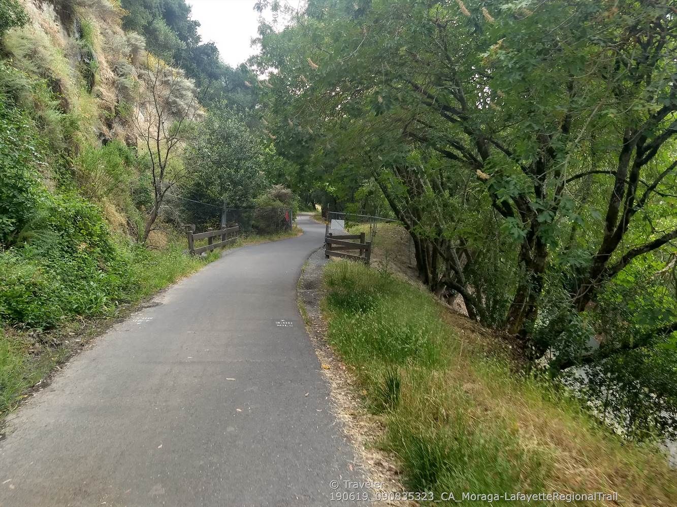 Paved path alongside a green, tree-covered hillside with a wooden fence. - Las Trampas Creek bridge – Museum of the San Ramon Valley loop from Rheem Valley