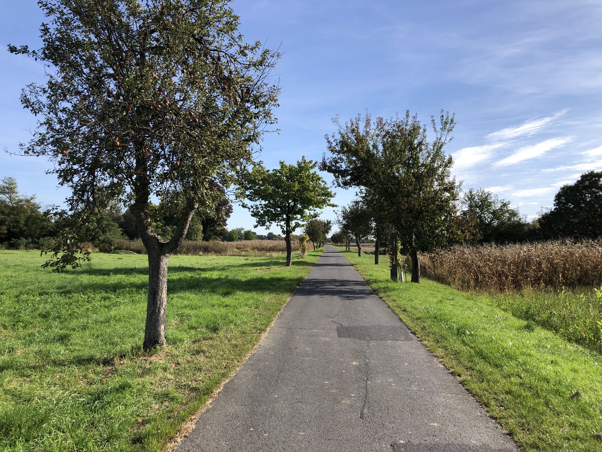 Auf dem Weg nach Lutzmannsburg