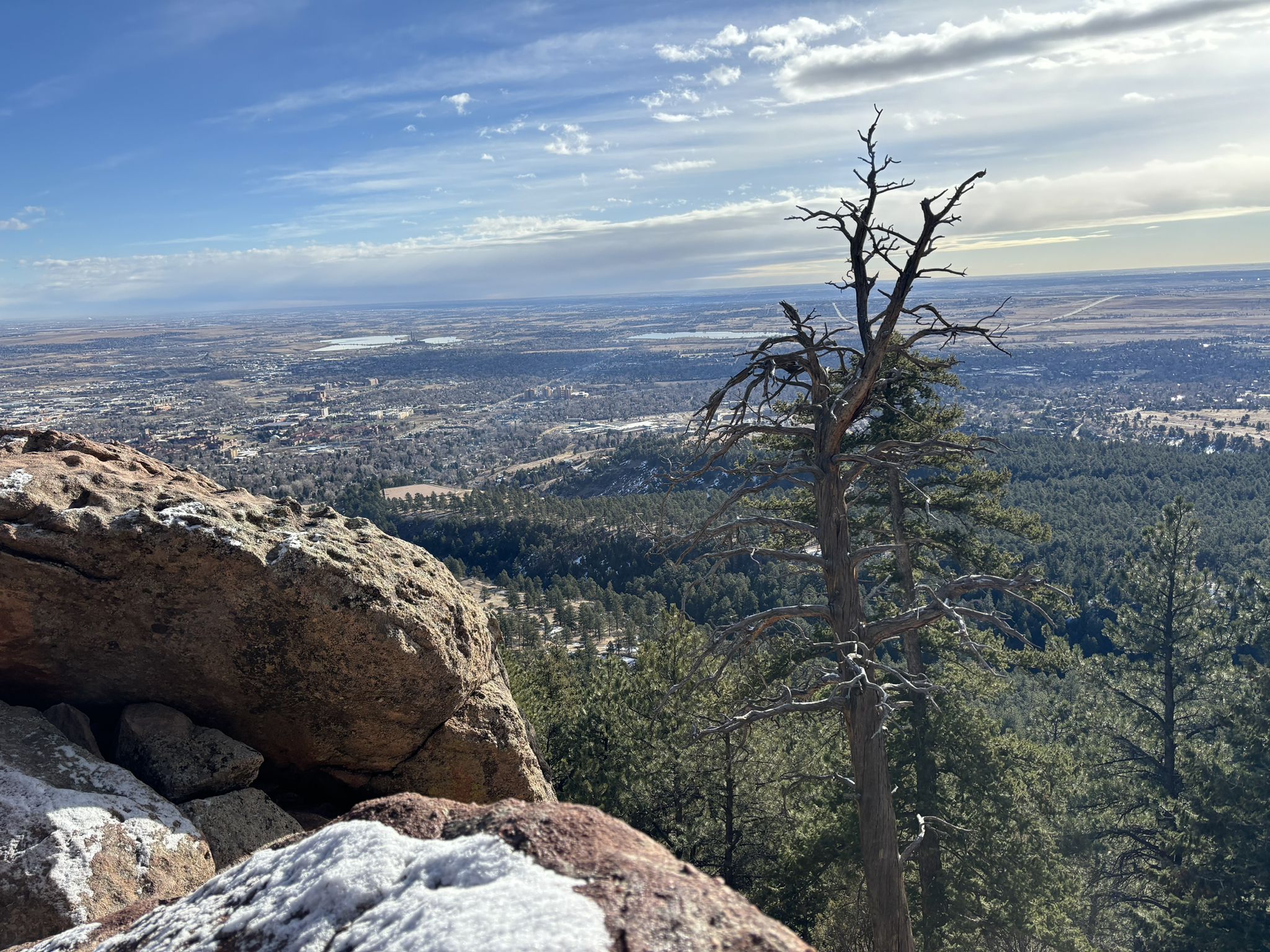 Mountain vista with a dead tree, rocks, and a distant city under a partly cloudy sky. - Flagstaff Mountain to Gross Reservoir