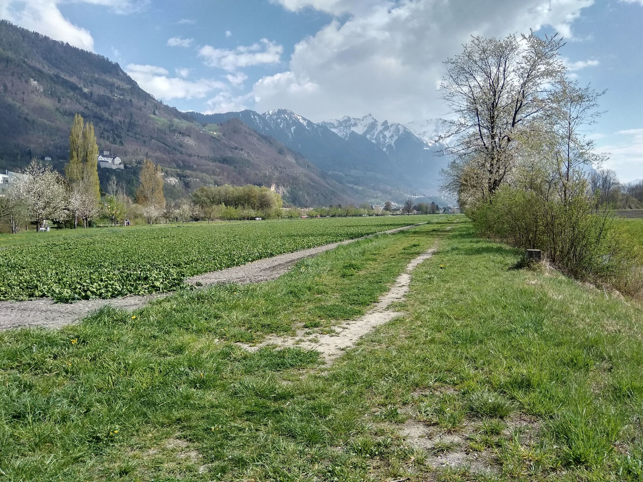 Vaduz mit Schloss links im Bild