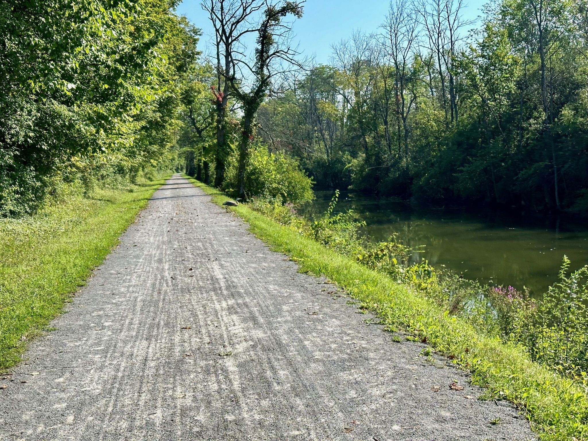 Long gravel path next to a calm canal, surrounded by green trees. - Old Erie Canal Historical Park loop from Green Lakes State Park