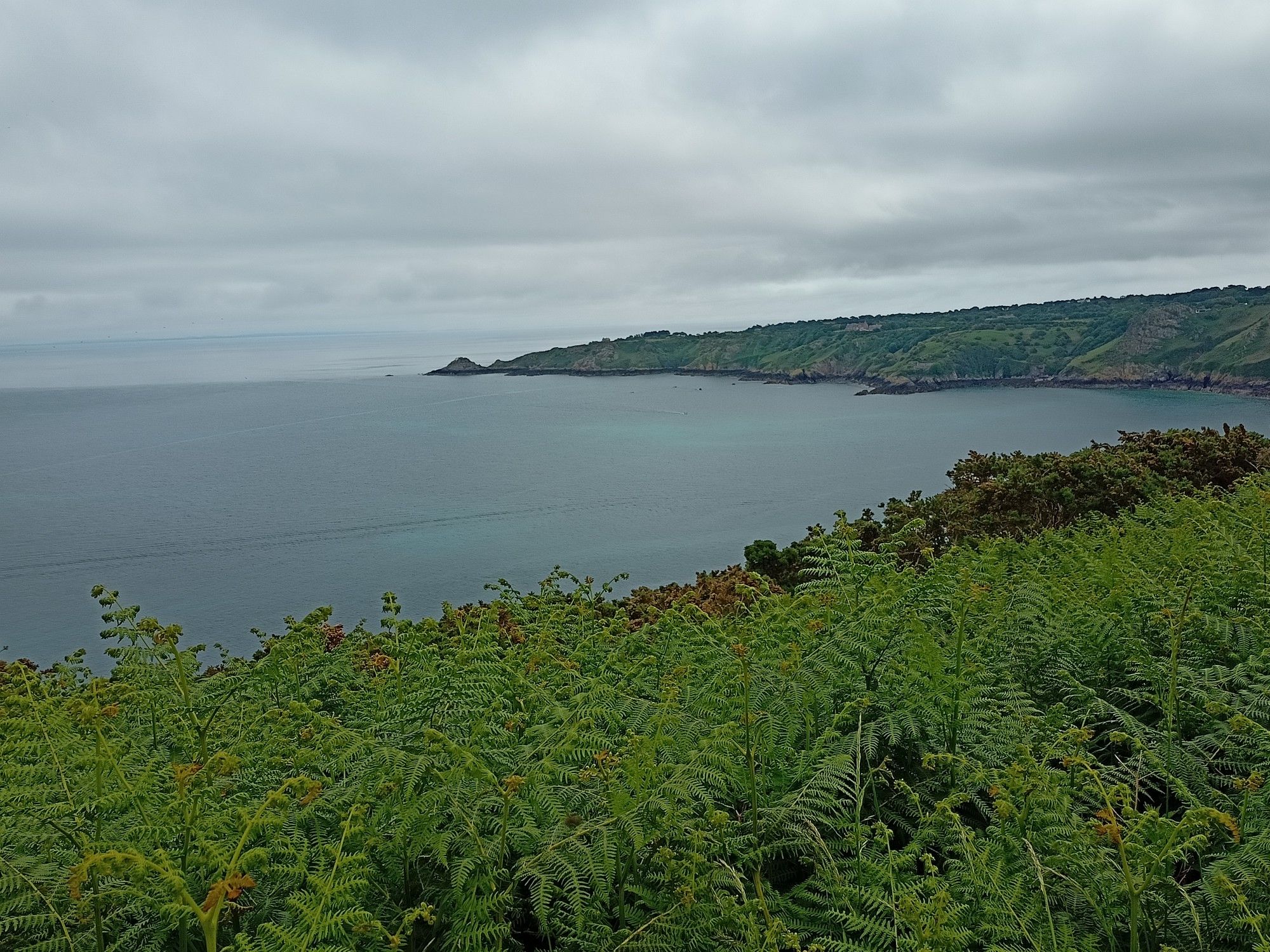 On the hills of Bouley bay