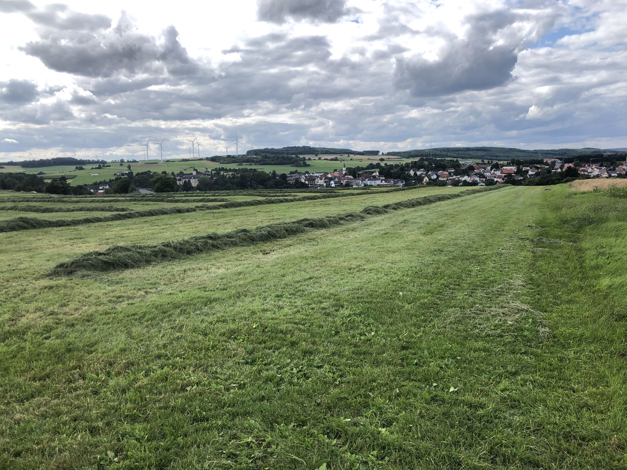 Übers Feld