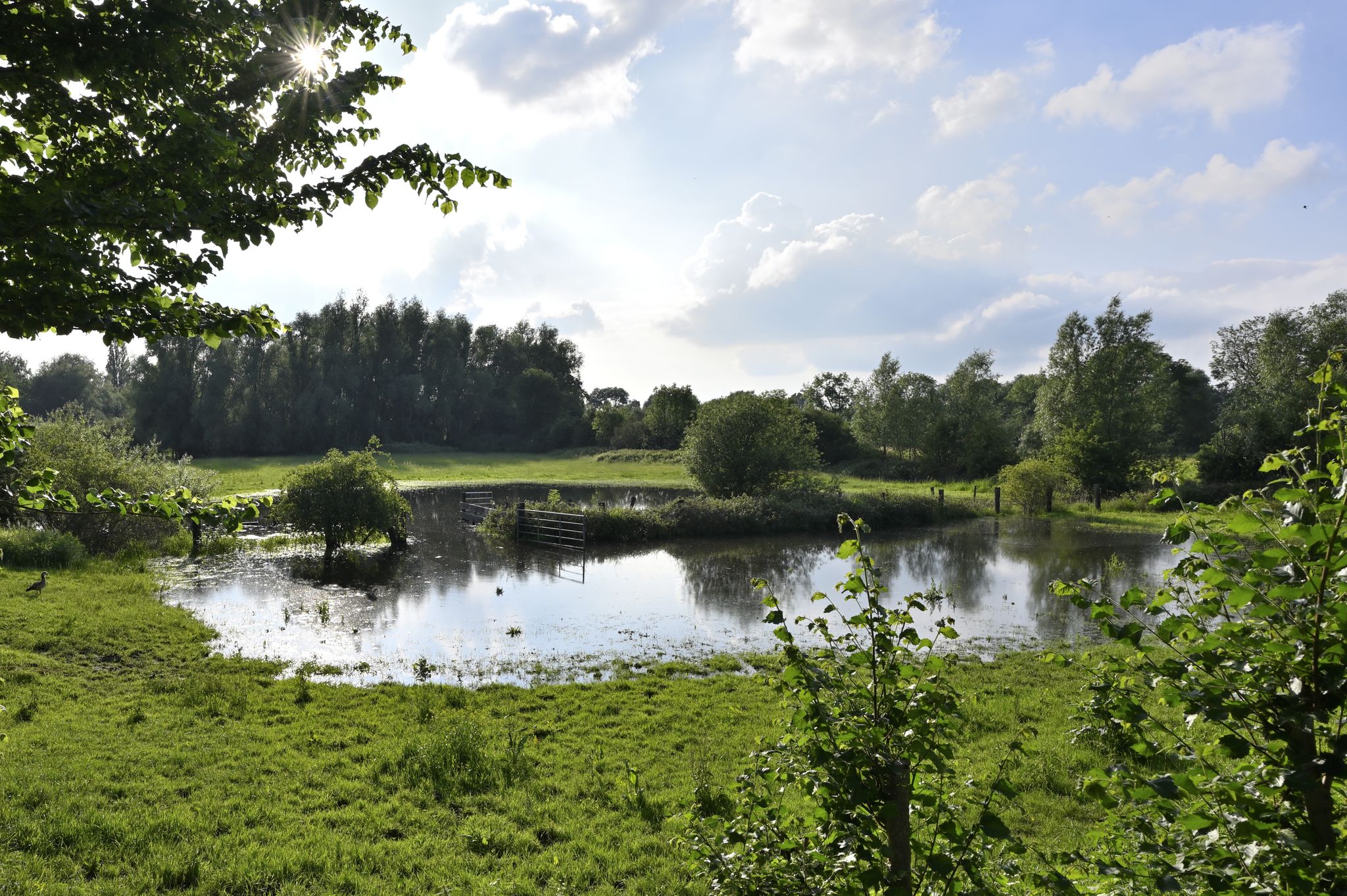 Rheinaue Walsum