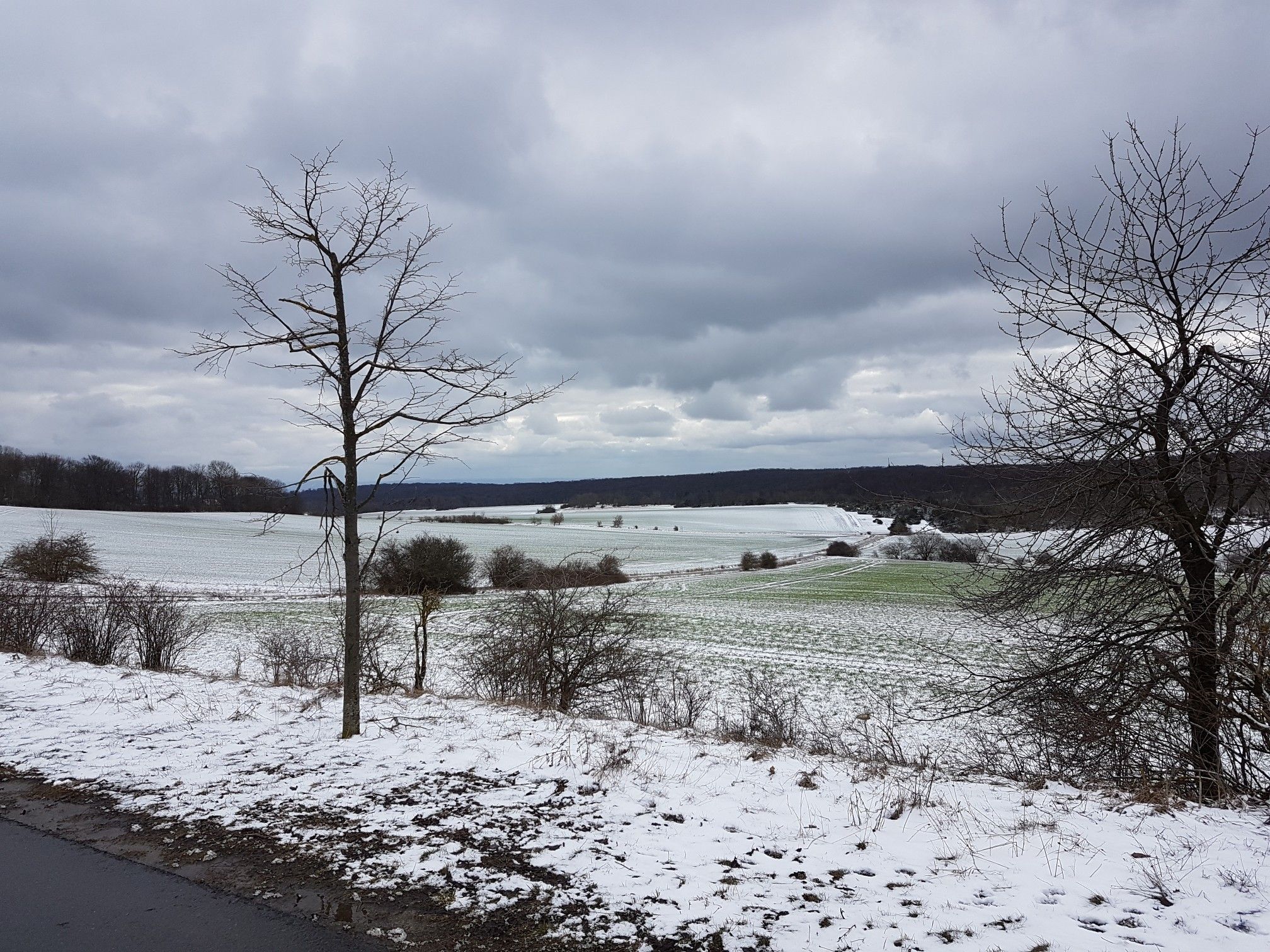 Blickrichtung Eisenach