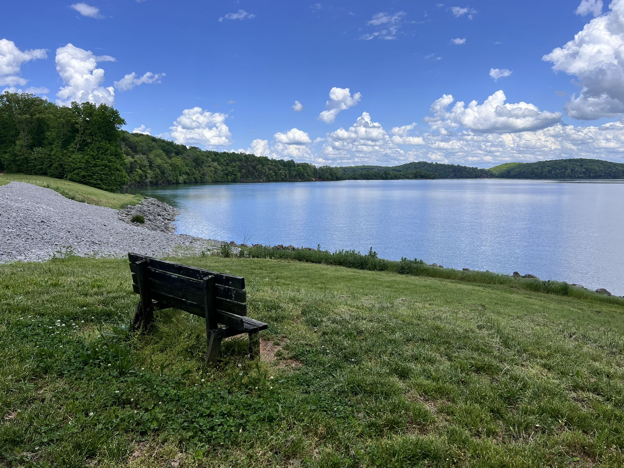 Empty park bench on a grassy hill overlooking a large, calm lake. - Hall Bend Trail
