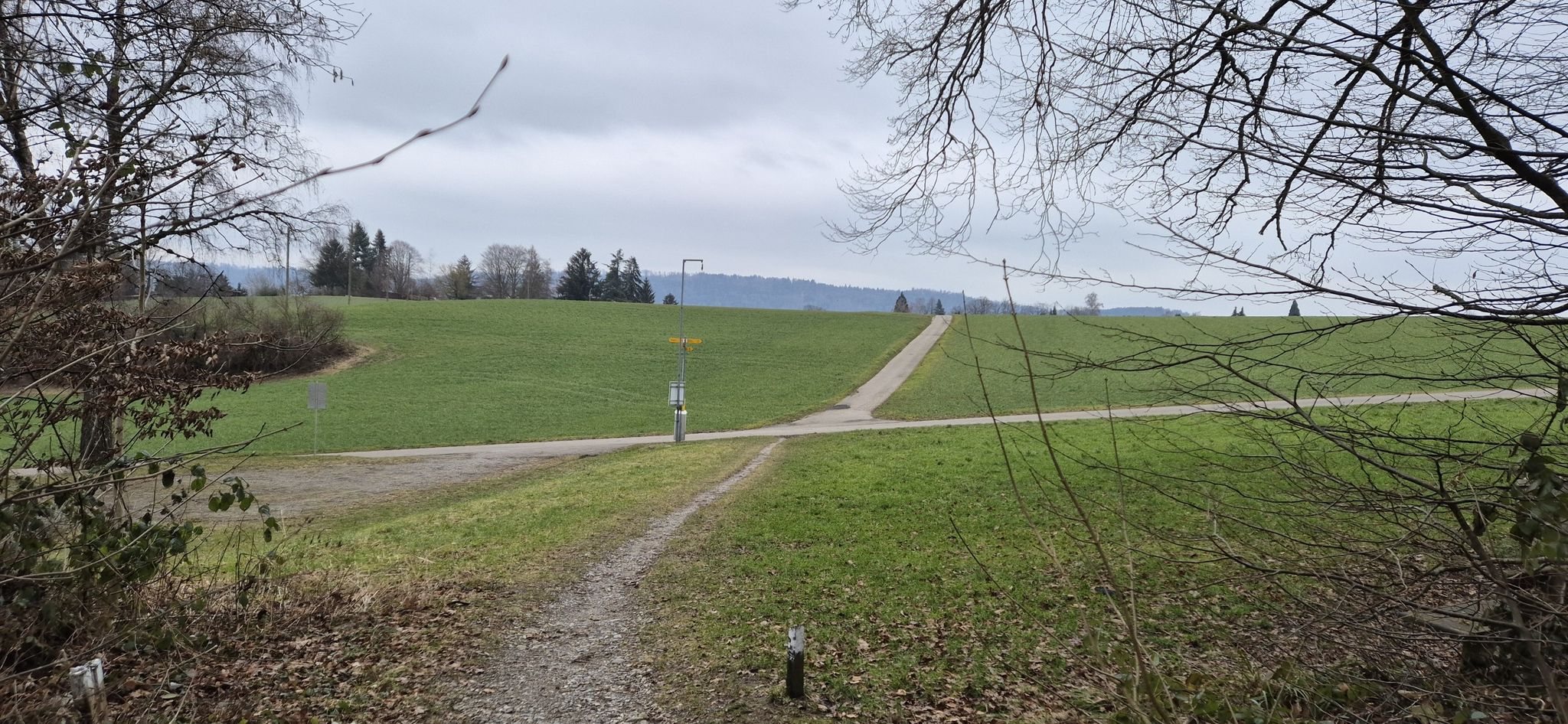 Endlich mal aus dem Wald.