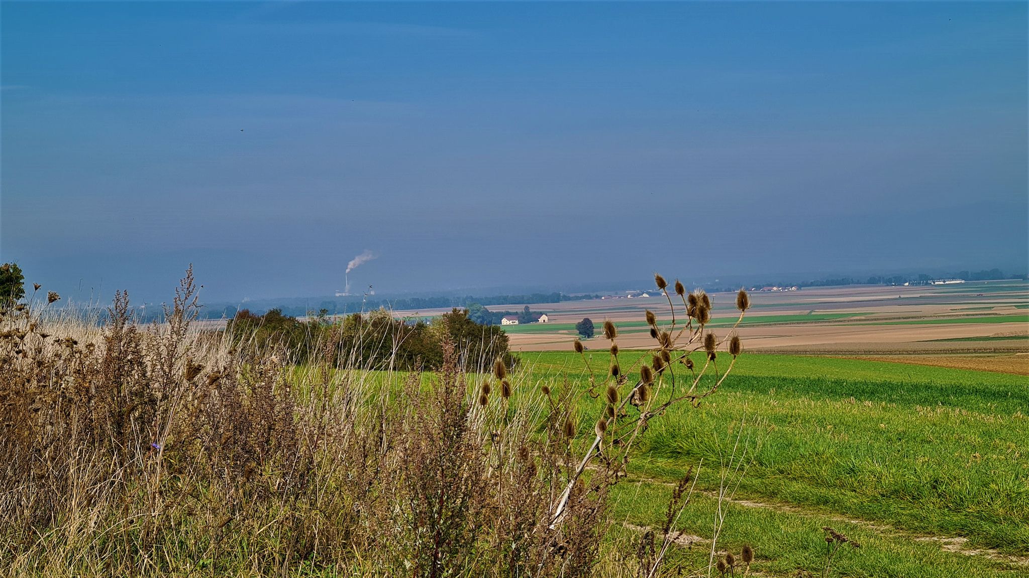 Blick ins weite Land - im Hintergrund die Zuckerfabrik Plattling