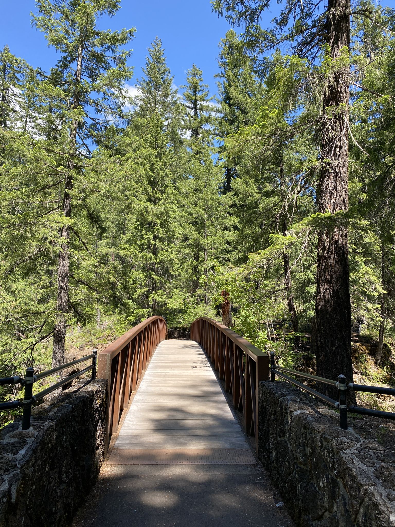 A wooden bridge spans a river, surrounded by tall green pine trees. - Knob Falls Trail