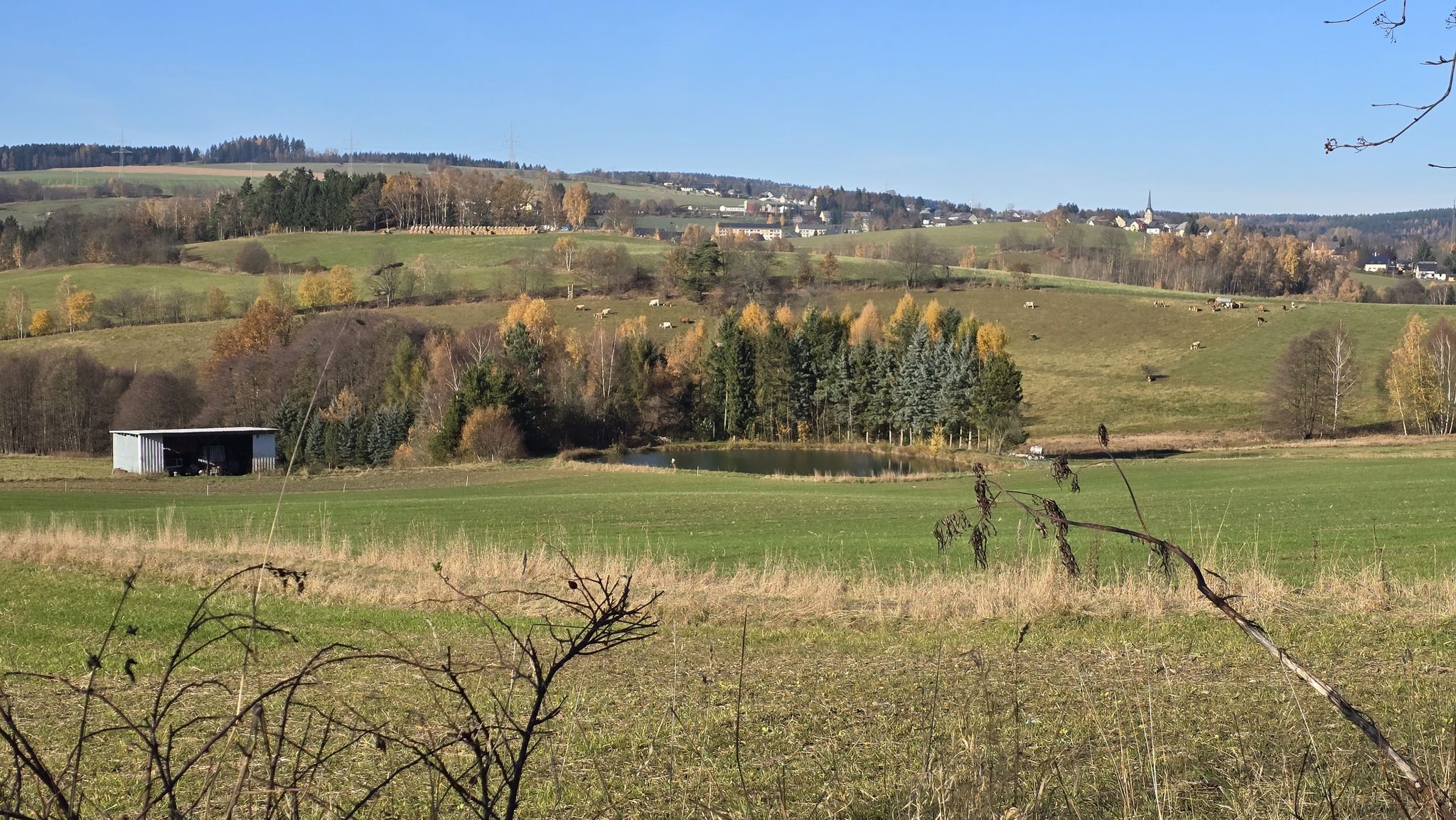 Blick auf Elterlein vom Süden