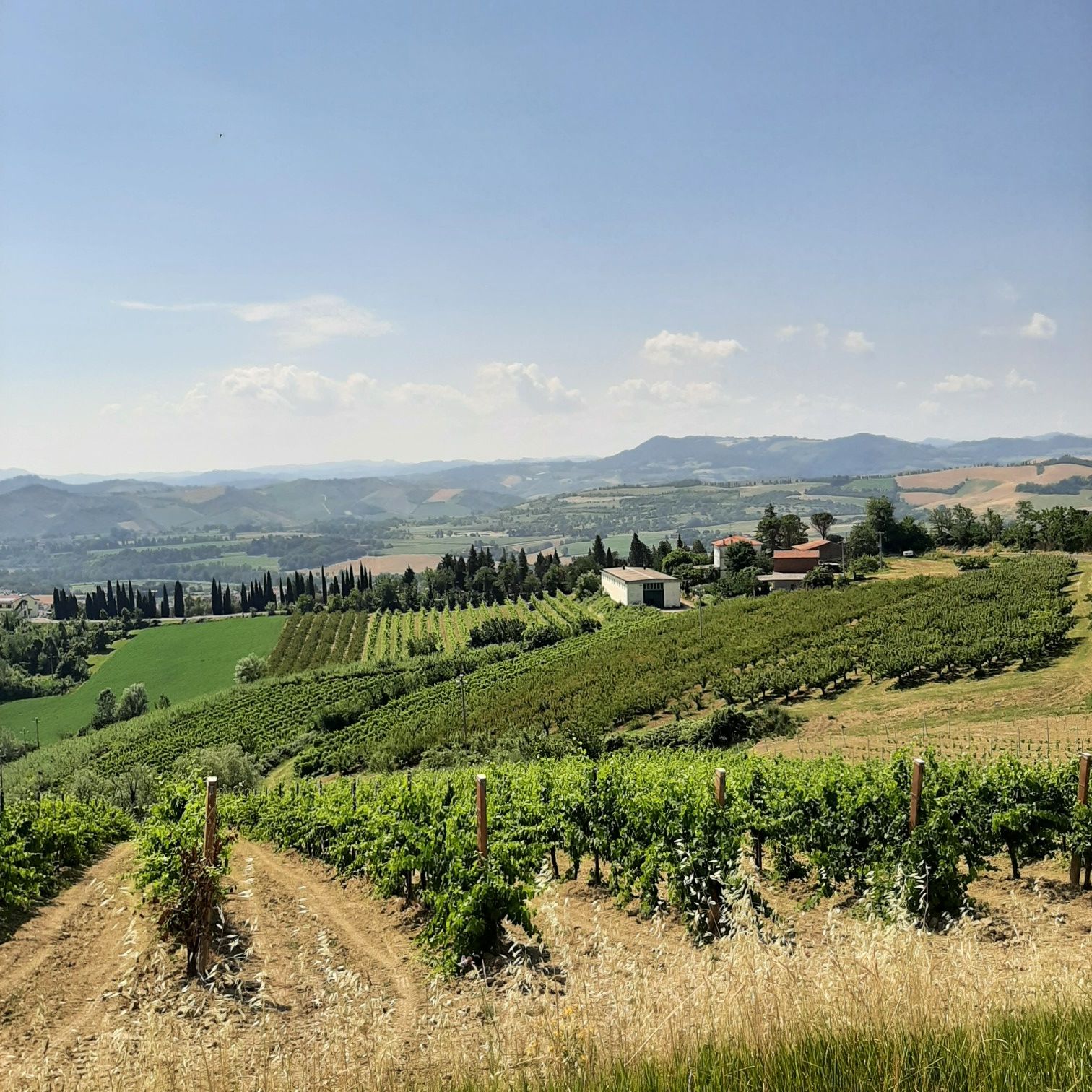 Vista dal monte Mazzolano