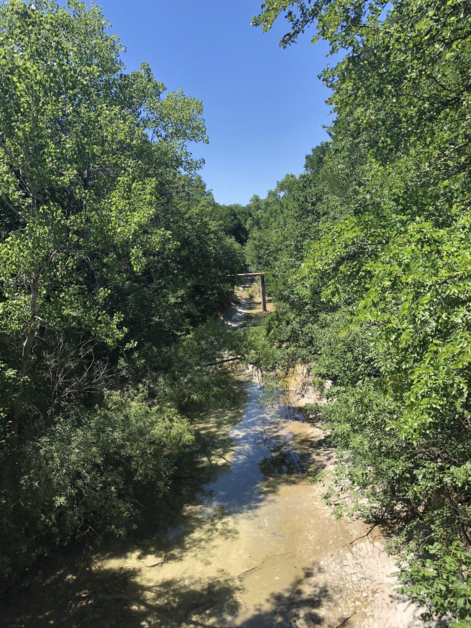 A shallow creek flows through a dense green forest under bright sunlight. - Cottonwood Creek South Trail loop