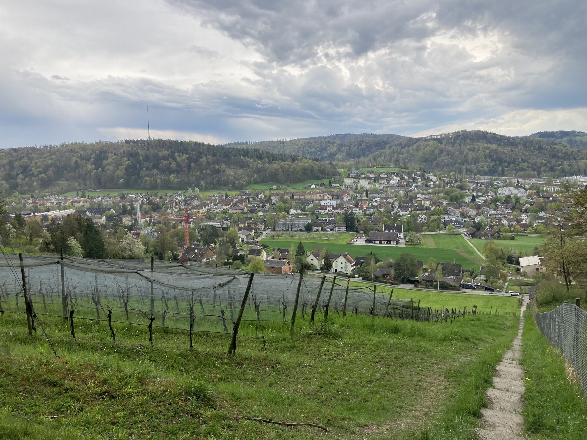 Wülflingen