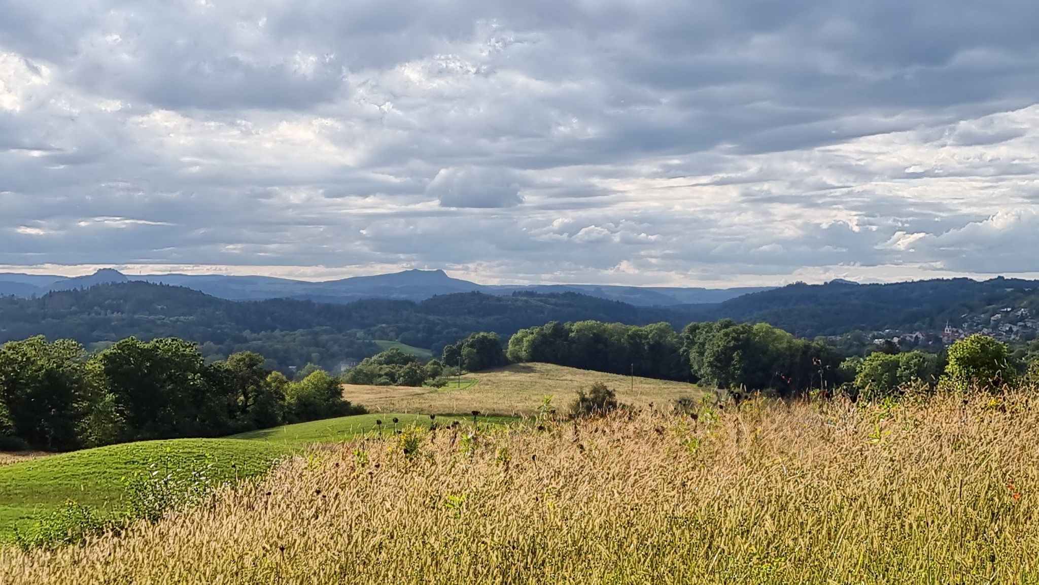 Blick zu den Hegauvulkanen