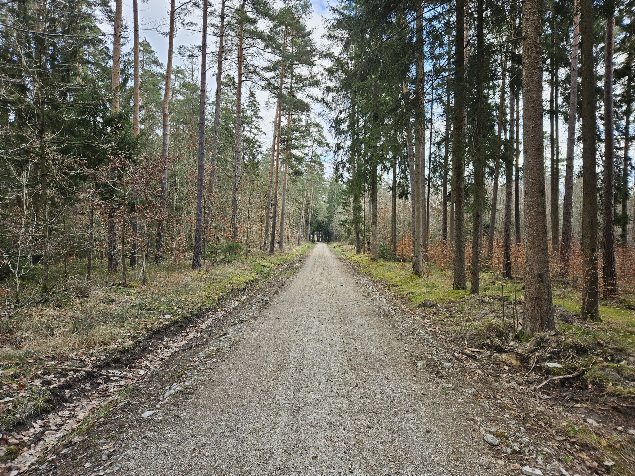 Waldweg Burgoberbach