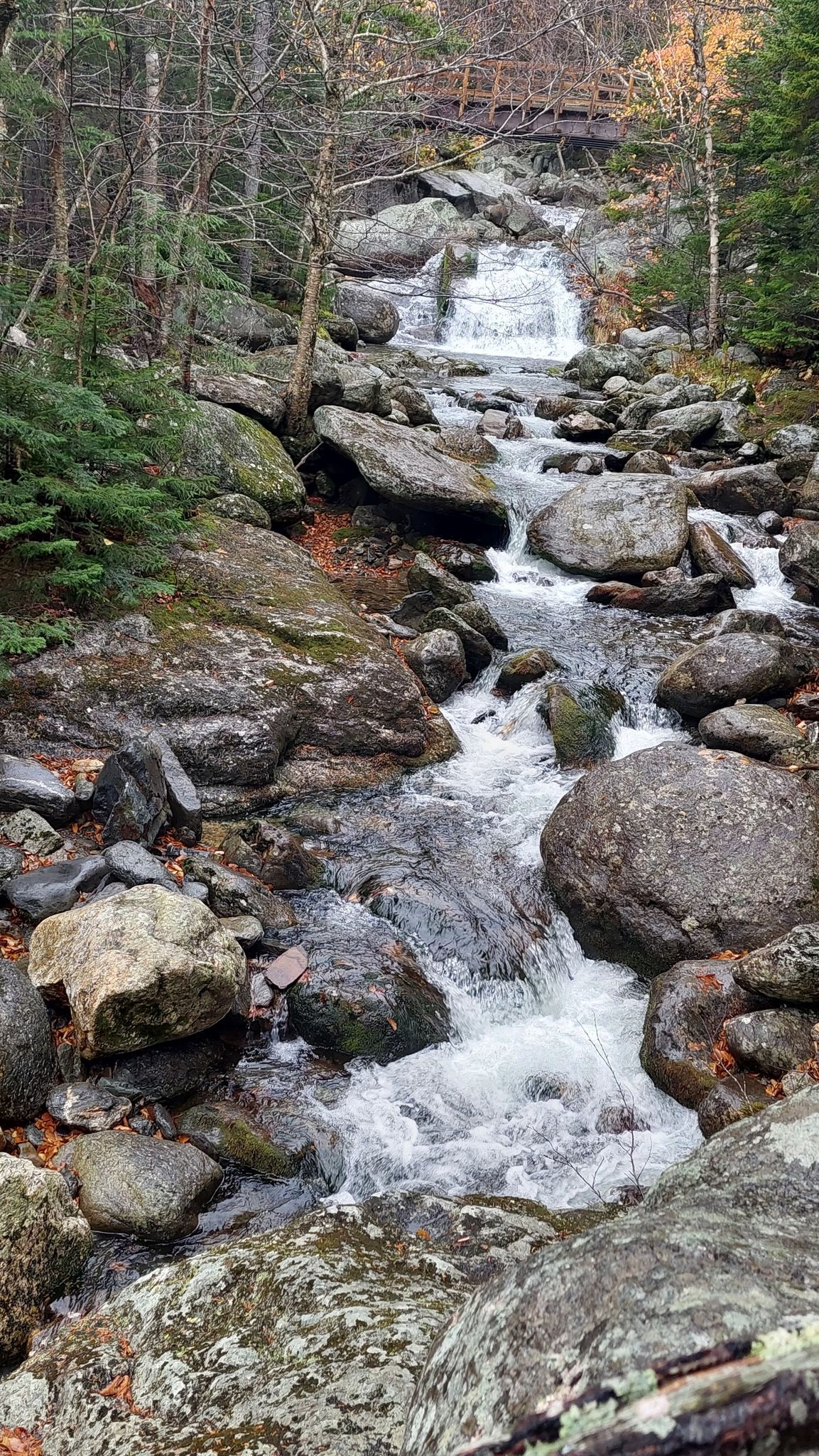 Rocky stream cascades through a forest with autumn leaves on an overcast day. - Crystal Cascades