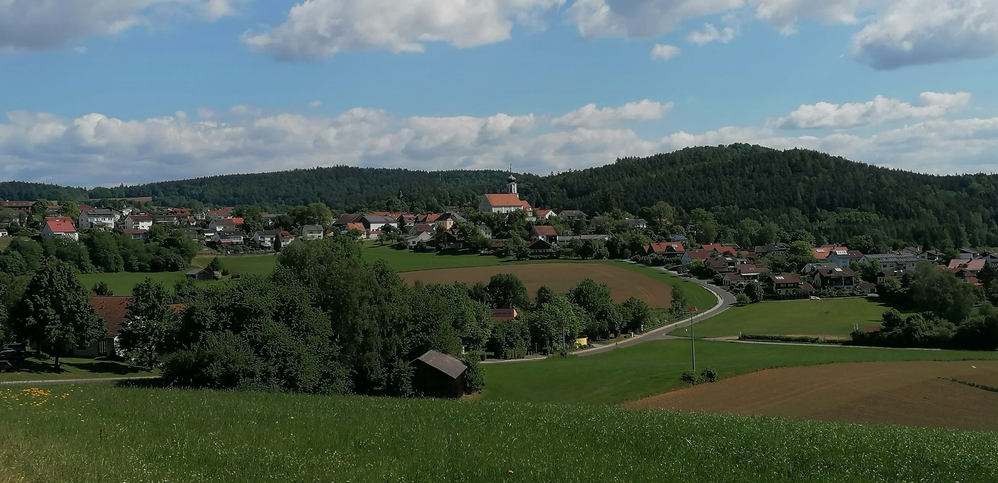 Blick zurück auf Stamsried