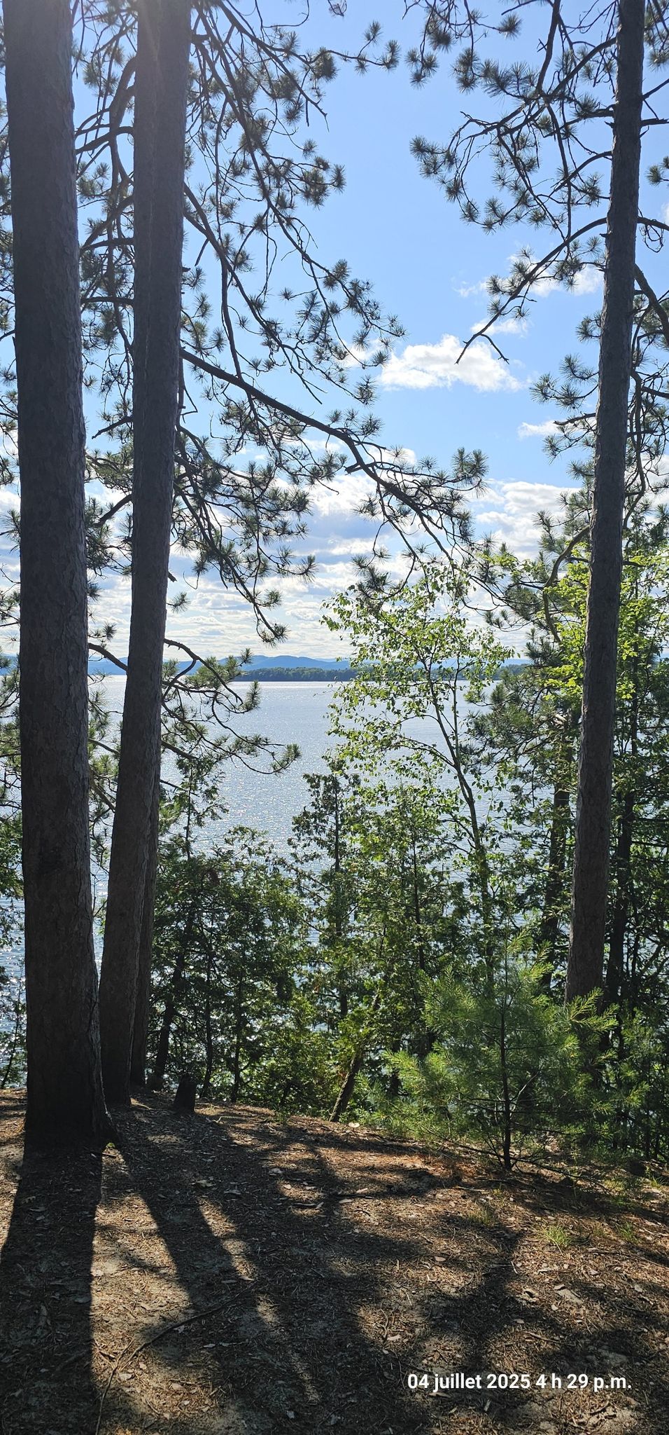 Sunlight filters through tall trees, revealing a calm lake and distant shore. - Rock Point – Lone Rock Point loop from Ethan Allen Park