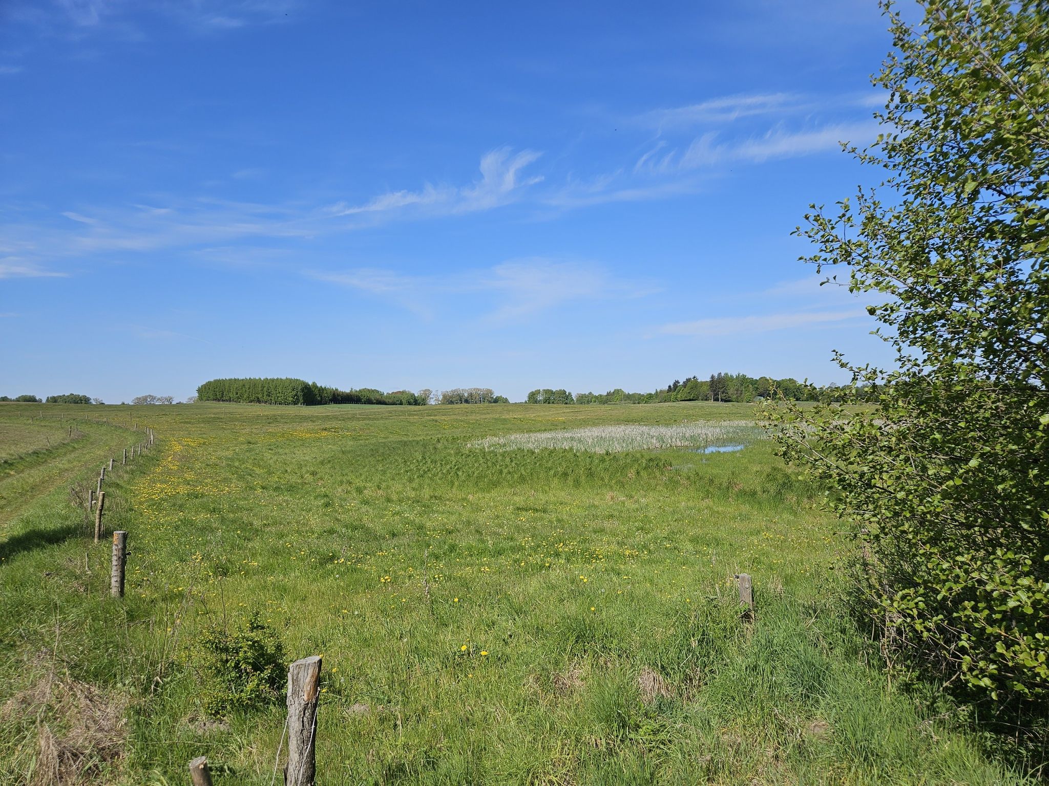 Idylle pur