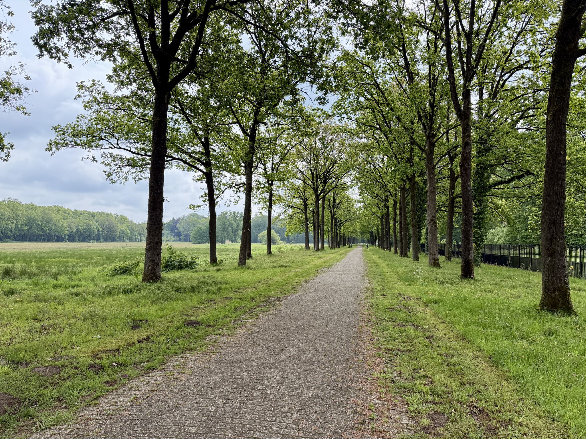 Kasteellaan