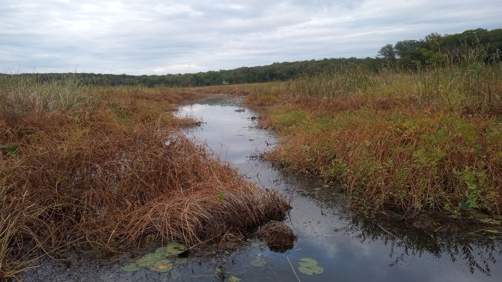 Narrow waterway winding through marshy brown and green grasses under an overcast sky. - Waterford to Chub Lake Wildlife Management Area gravel loop